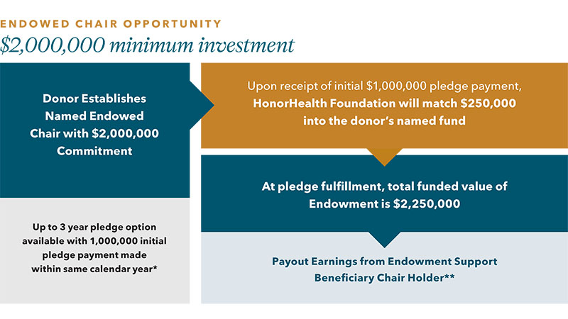 Endowed Chair Opportunity