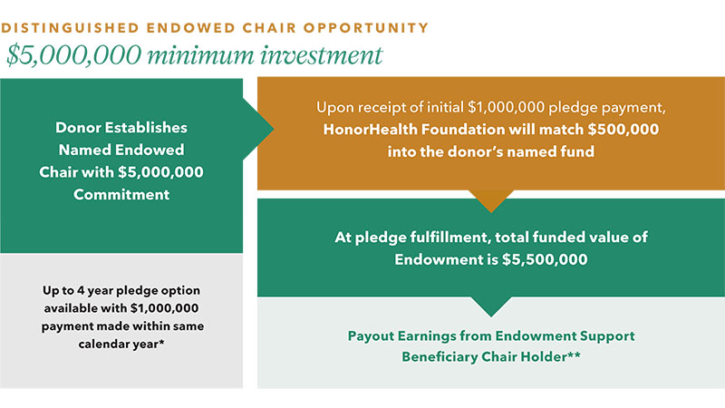 Distinguished Endowed Chair Opportunity