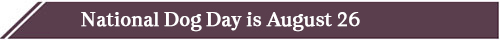 Philanthropy in Action - August 2026 - National Dog Day banner