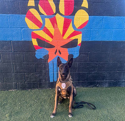 2026 Impact Report - K-9 Security Program