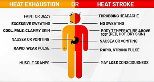 Philanthropy in Action - June 2025 - Heat Symptoms
