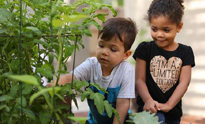 HonorHealth Foundation 2025 Desert Mission Impact Report - LLC