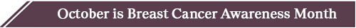 Philanthropy in Action - Breast Cancer Awareness Month banner