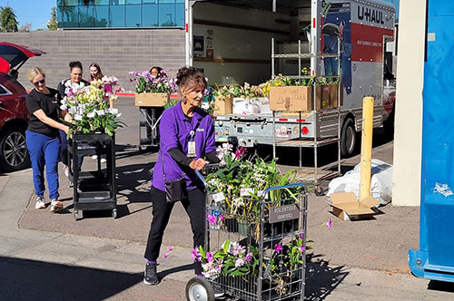 Philanthropy in Action - June 2025 - Bloom Volunteers