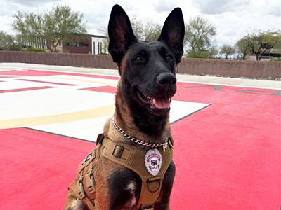 Word of Honor - August 2025 - Bama